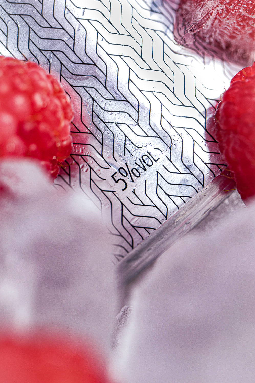 GINBee GIN & Himbeere ErichGIN